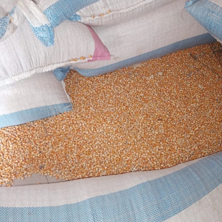 VENTE DE MAIS JAUNE - Provenance KOUTO