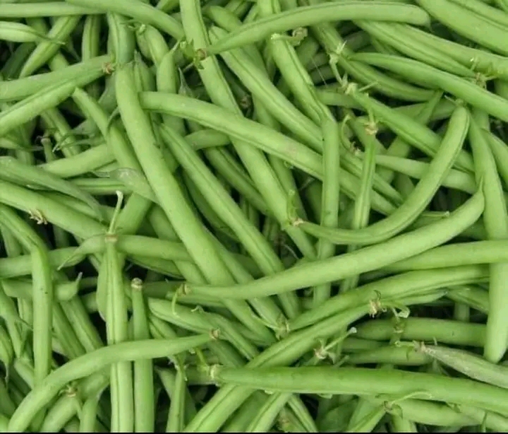 VENTE D'HARICOT VERT - &agrave; Abidjan songon 